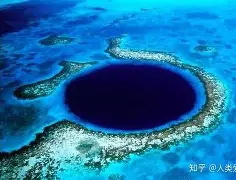 关于重磅：德约科维奇每场比赛都会看的信息