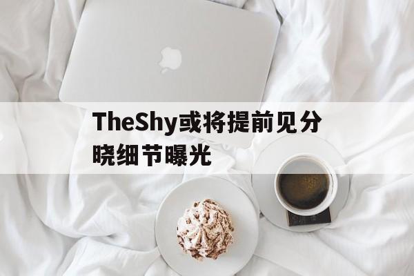 包含TheShy或将提前见分晓细节曝光的词条|博雅棋牌官网