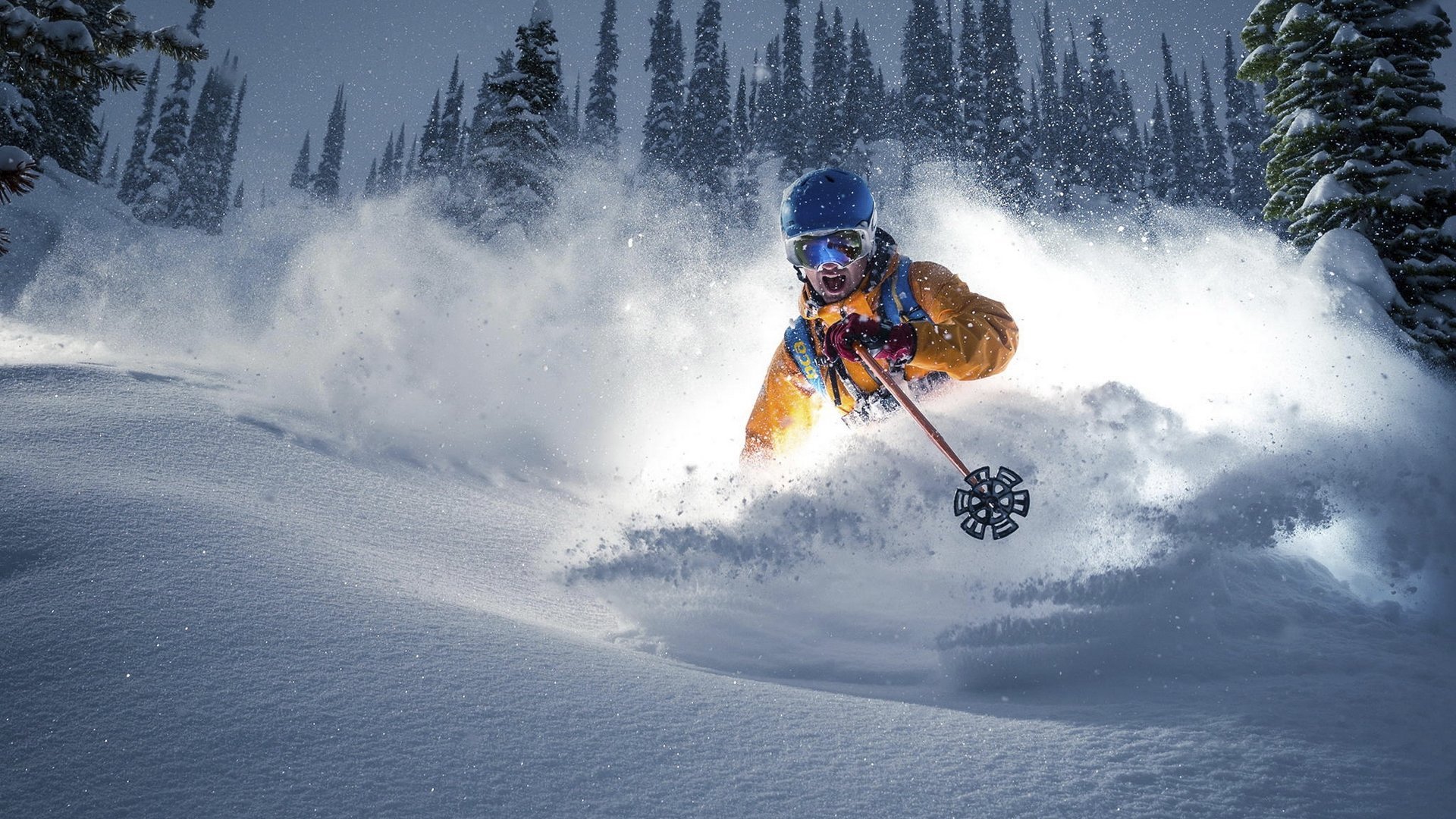 关于德约科维奇高光表现细节曝光的信息|博雅棋牌游戏