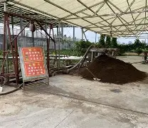 Doinb高光表现结果意外(doir高光) Doinb高光表现结果意外(doir高光)